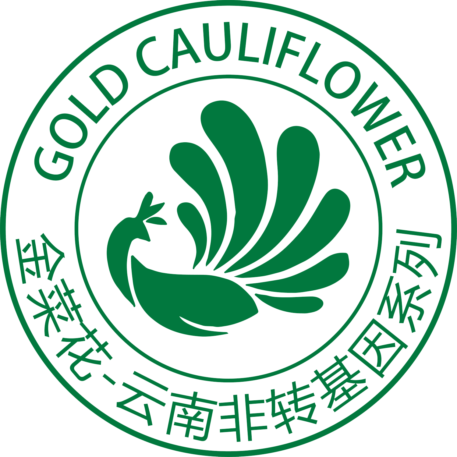 非转基因系列